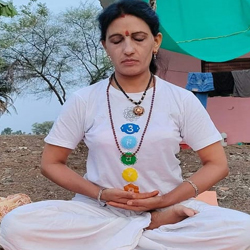 ज्योतिष सलाहकार